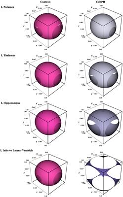Structural volumetric and Periodic Table DTI patterns in Complex Normal Pressure Hydrocephalus—Toward the principles of a translational taxonomy